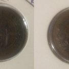 Scarce 1860 Luxembourg 5 Cent