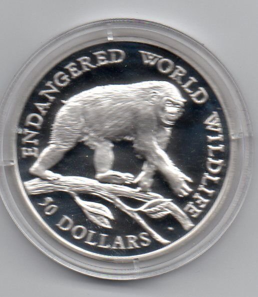 1990 Cook Is Large Silver Proof  50$ Fauna Chimpanzee