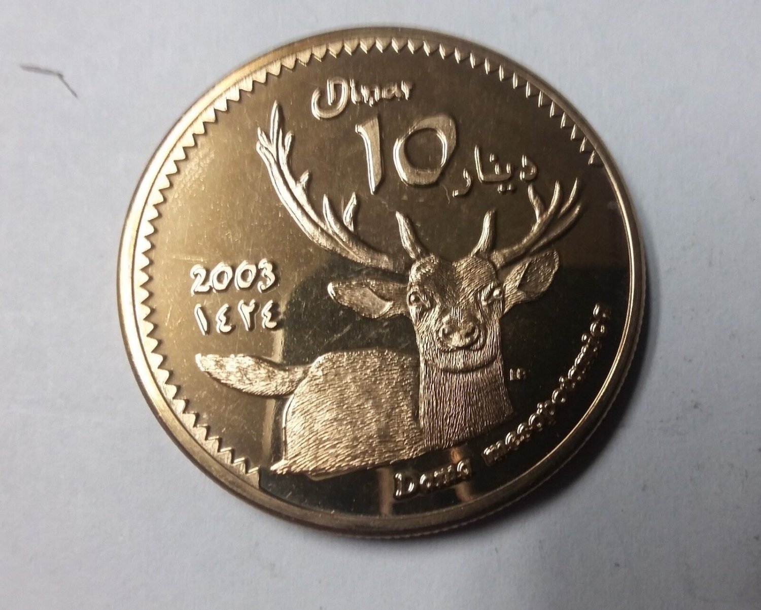 2003 Kurdistan Large Bronze 10 Dinar pattern-Dear-very rare-mintage 38