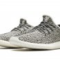 Yeezy Boost 350 "Turtle Dove 2022"