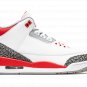 Air Jordan 3 Retro "Fire Red 2022" DN3707 160