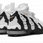 Air DT Max '96 "Colorado Away" HM9236 100