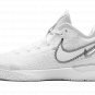 Zoom Lebron NXXT Gen "White / Metallic Silver" DR8784 101