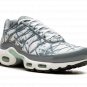 Air Max Plus "Waterway" FV0394 300