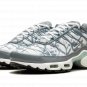 Air Max Plus "Waterway" FV0394 300