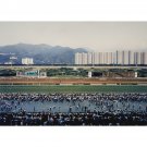 Andreas Gursky - Sha Tin - 50x40 Inch Rolled Canvas Wall Art Print
