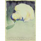 Georgia O'Keeffe - Train at Night in the Desert - 40x50 Inch Rolled Canvas Wall Art Print Georgia O'Keeffe - Train at Night in the Desert - 40x50 Inch Rolled Canvas Wall Art Print
