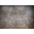 Cy Twombly - Untitled - 30x40 Inch Rolled Canvas Wall Art Print