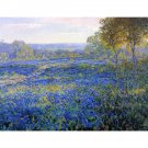 Fields of Bluebonnets, 1920 - 30x40 Inch Rolled Canvas Wall Art Print