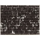 Glenn Ligon - Untitled #2 - 30x40 Inch Rolled Canvas Wall Art Print