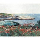 Poppies, Isles of Shoals [1] by Hassam - 30x40 Inch Rolled Canvas Wall Art Print
