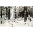 ShIShKIN Ivan - Zima (Winter) - 30x40 Inch Rolled Canvas Wall Art Print
