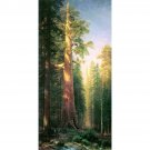 The big trees, Mariposa Grove, California by Bierstadt - 30x40 Inch Rolled Canvas Wall Art Print The big trees, Mariposa Grove, California by Bierstadt - 30x40 Inch Rolled Canvas Wall Art Print