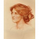John william waterhouse study for gather ye rosebuds while ye may - 30x40 Inch Rolled Canvas Wall Ar John william waterhouse study for gather ye rosebuds while ye may - 30x40 Inch Rolled Canvas Wall Ar