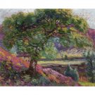 Landscape with Trees, 1905 - 30x40 Inch Rolled Canvas Wall Art Print Landscape with Trees, 1905 - 30x40 Inch Rolled Canvas Wall Art Print