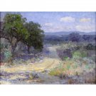 A Path Through the Texas Hill Country - 24x32 Inch Rolled Canvas Wall Art Print