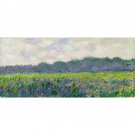 Field of Yellow Irises by Monet - 24x32 Inch Rolled Canvas Wall Art Print