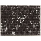 Glenn Ligon - Untitled #2 - 24x32 Inch Rolled Canvas Wall Art Print