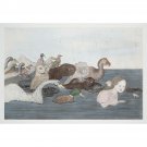 Kiki Smith - Pool of Tears 2 - 24x32 Inch Rolled Canvas Wall Art Print Kiki Smith - Pool of Tears 2 - 24x32 Inch Rolled Canvas Wall Art Print