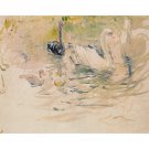 Swans - 1888 - 24x32 Inch Rolled Canvas Wall Art Print Swans - 1888 - 24x32 Inch Rolled Canvas Wall Art Print