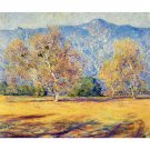 The Sycamores, Pasadena, 1918 - 24x32 Inch Rolled Canvas Wall Art Print