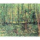 Trees and undergrowth by Van Gogh - 24x32 Inch Rolled Canvas Wall Art Print