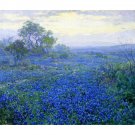 A Cloudy Day, Bluebonnets near San Antonio, Texas, 1918 - 30x40 Inch Rolled Poster Wall Art Print