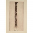 Braid - 30x40 Inch Rolled Poster Wall Art Print