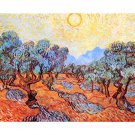 Olive Grove by Van Gogh - 30x40 Inch Rolled Poster Wall Art Print