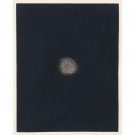 Yayoi Kusama - Untitled - 30x40 Inch Rolled Poster Wall Art Print