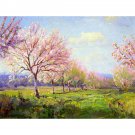 Peach Orchard on Mavericks Farm, 1915 - 30x40 Inch Rolled Canvas Wall Art Print