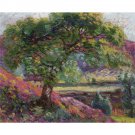 Landscape with Trees, 1905 - 40x50 Inch Rolled Poster Wall Art Print