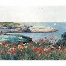 Poppies, Isles of Shoals [1] by Hassam - 40x50 Inch Rolled Poster Wall Art Print