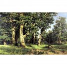 ShIShKIN Ivan - Dubovaia rosha (Oak Grove) - 40x50 Inch Rolled Poster Wall Art Print