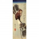 Small brown Owl on a Pine branch by Hiroshige - 40x50 Inch Rolled Poster Wall Art Print