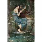 The Charmer - 40x50 Inch Rolled Poster Wall Art Print The Charmer - 40x50 Inch Rolled Poster Wall Art Print