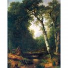A creek in the woods by Asher Brown Durand - 24x18 Inch Rolled Canvas Wall Art Print A creek in the woods by Asher Brown Durand - 24x18 Inch Rolled Canvas Wall Art Print