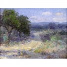 A Path Through the Texas Hill Country - 24x18 Inch Rolled Canvas Wall Art Print