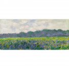 Field of Yellow Irises by Monet - 24x18 Inch Rolled Canvas Wall Art Print