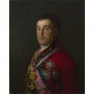 Francisco de Goya - The Duke of Wellington - 24x18 Inch Rolled Canvas Wall Art Print