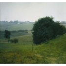 Gerhard Richter - Meadowland - 24x18 Inch Rolled Canvas Wall Art Print