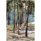 Joaquin Sorolla y Bastida - Pinos de Galicia - 24x18 Inch Rolled Canvas Wall Art Print