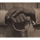 Worker's Hands - 24x18 Inch Rolled Canvas Wall Art Print