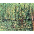 Trees and undergrowth by Van Gogh - 24x18 Inch Rolled Canvas Wall Art Print