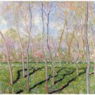 Trees in winter, look at Bennecourt by Monet - 24x18 Inch Rolled Canvas Wall Art Print