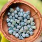 Blue Colour Rough Diamond Natural Raw Uncut Loose Diamond For Making Jewellery