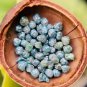 1 CT Natural Rough Diamond | Raw Blue Loose Diamond | Blue Diamond For Jewellery