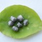 2.00Ctw Grey Colour Loose Raw Diamond Natural Raw Uncut Diamond For Use Jewelry
