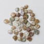 6 Pieces Multi Rough Diamond Slice Natural Raw Flat Diamond For Diamond Jewelry