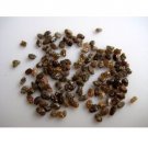 1 Ct Natural Brown Diamond | Uncut Raw Diamond | Chips Rough Diamond For Jewelry
